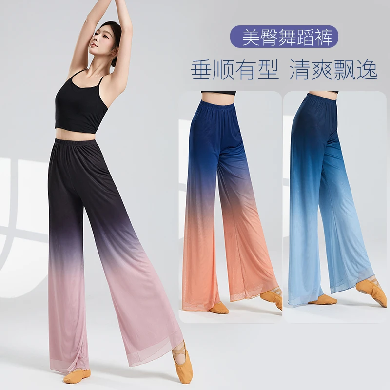 现代舞练功裤成人双层网纱舞蹈裤2025新品夏女飘逸中国古典舞纱裤