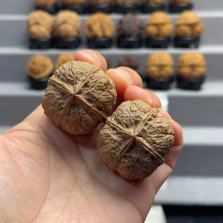 文玩核桃把件19-52