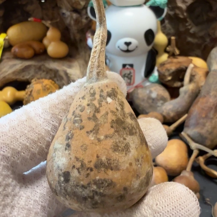 二***哥766666777777787@jjjjj