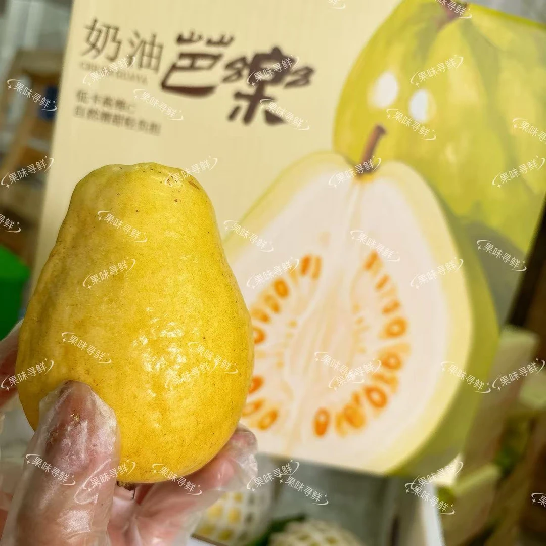 田园缤芬 奶油芭乐 净重2.8左右 毛重3.6斤 丝滑软糯，摘网套冷藏