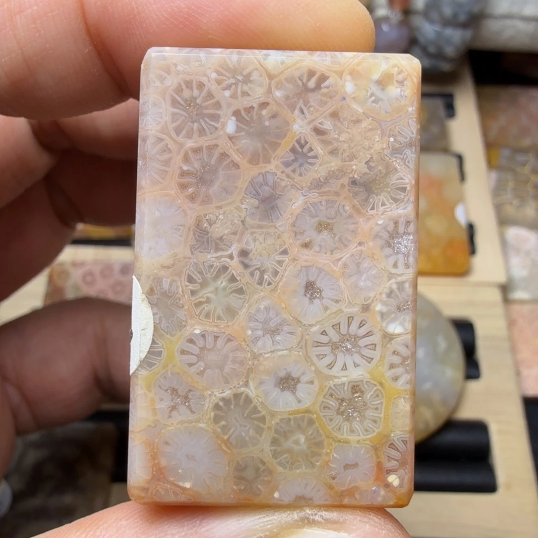 硅化玉未镶嵌纯天然色有机玉石保真色