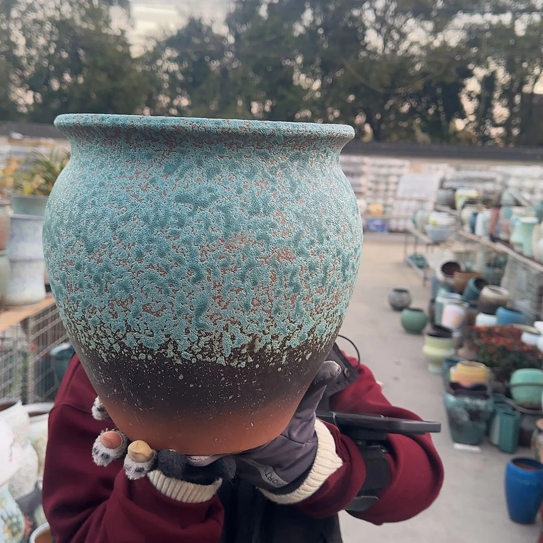 王嫂花盆1229-309高26口25