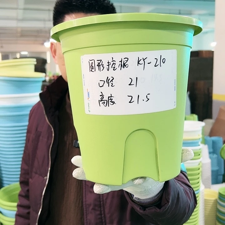 正品圆控口21高21果绿5只无托