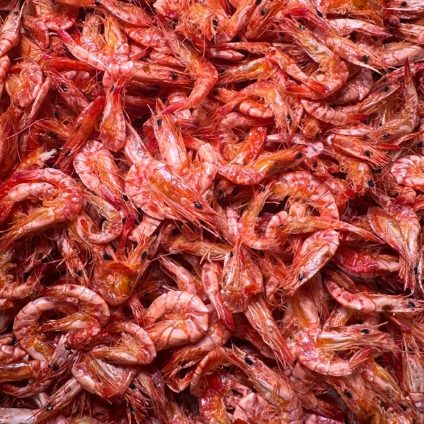 潮汕特产“本港沙下干”【小叔鱼胶福利】