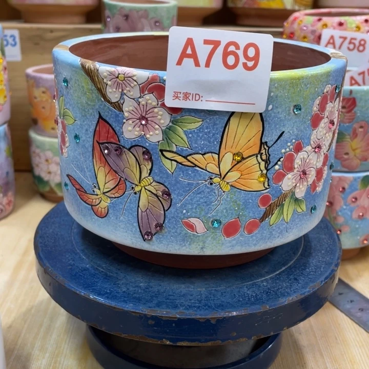 多肉花盆蝴蝶花盆