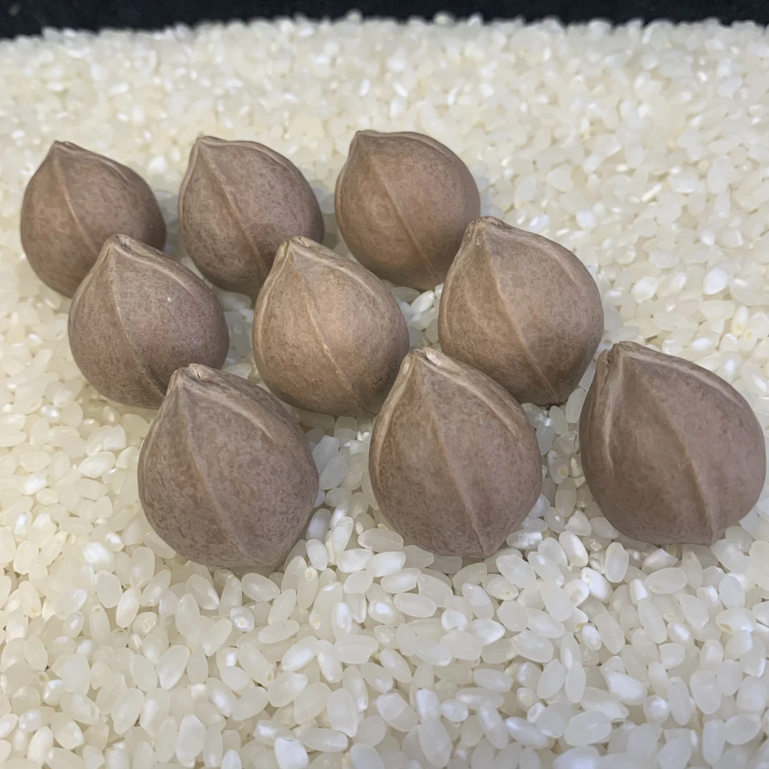 原皮素核21MM合集梅林铁核手串9颗