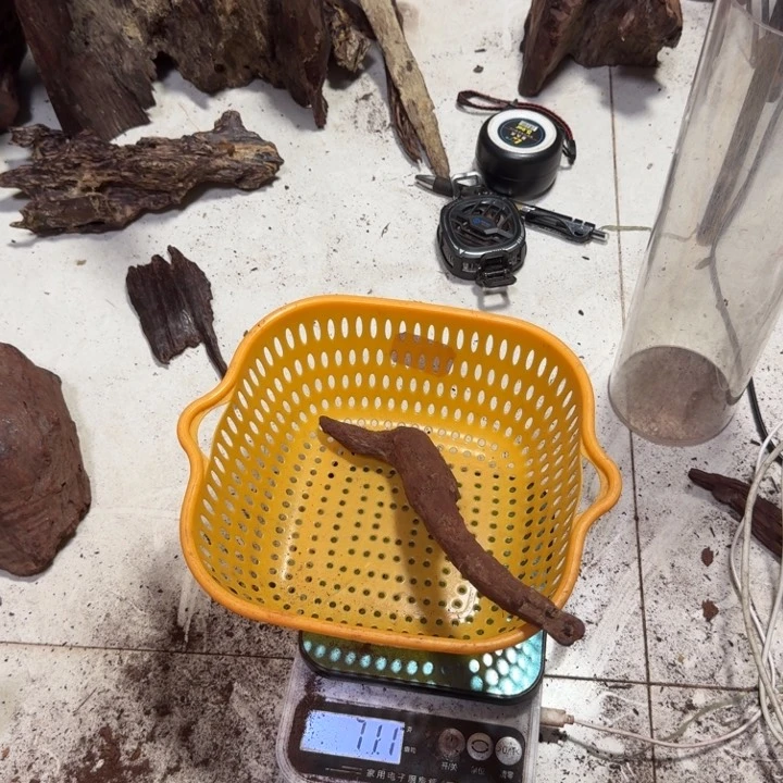 花梨木类开****?海南红降