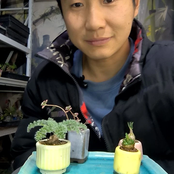 我***座中青园艺一物一拍花152