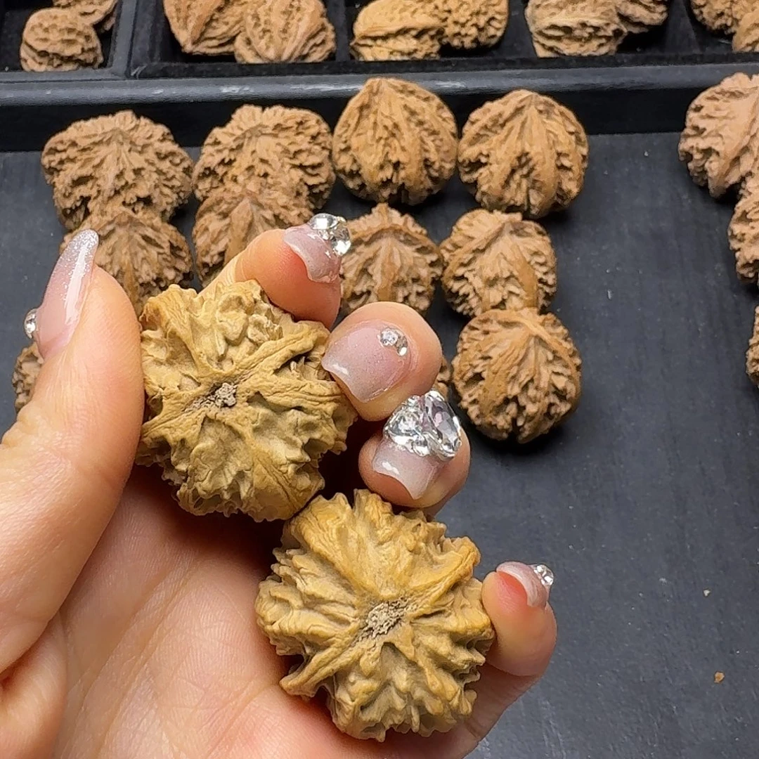 L***c桃木突突突突突突突