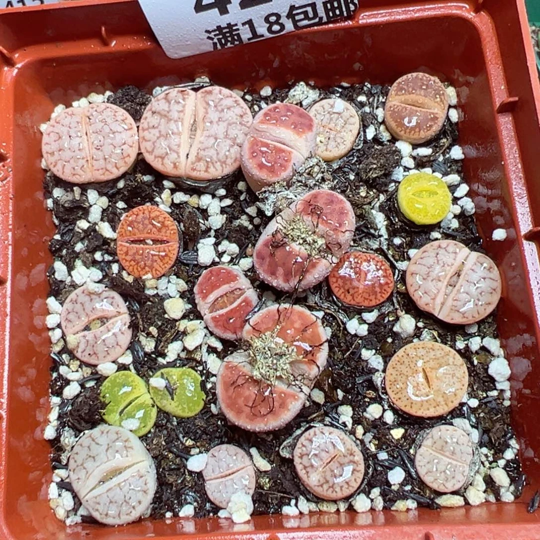 【闪购商品】 422。