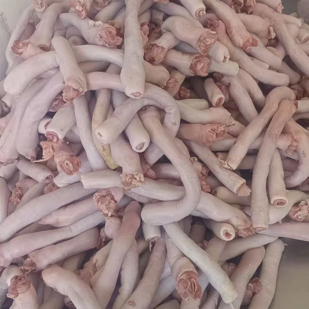 新鲜无油猪肚头可红烧卤煮饭店食材顺丰包邮坏损包赔