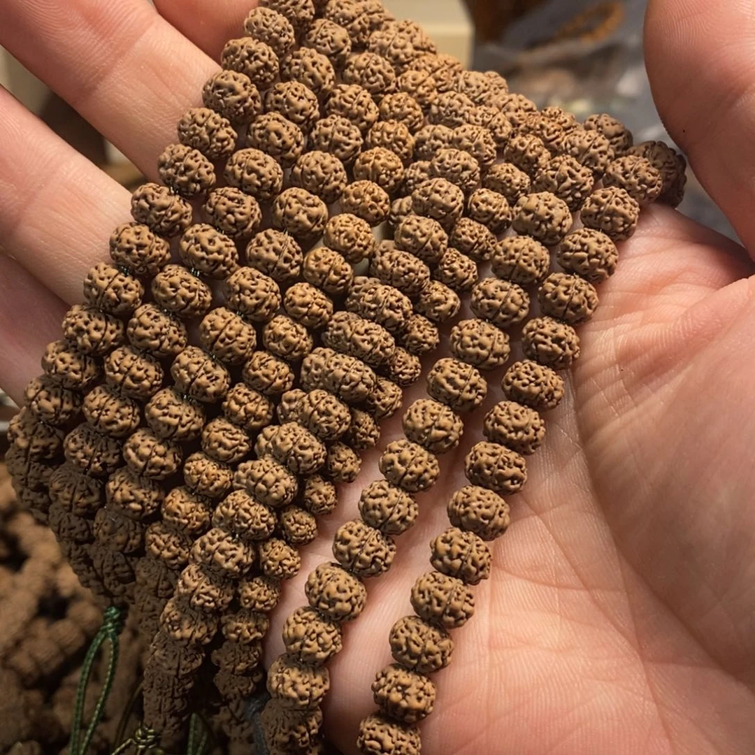 手串金刚菩提龙蛋2025年11月新籽