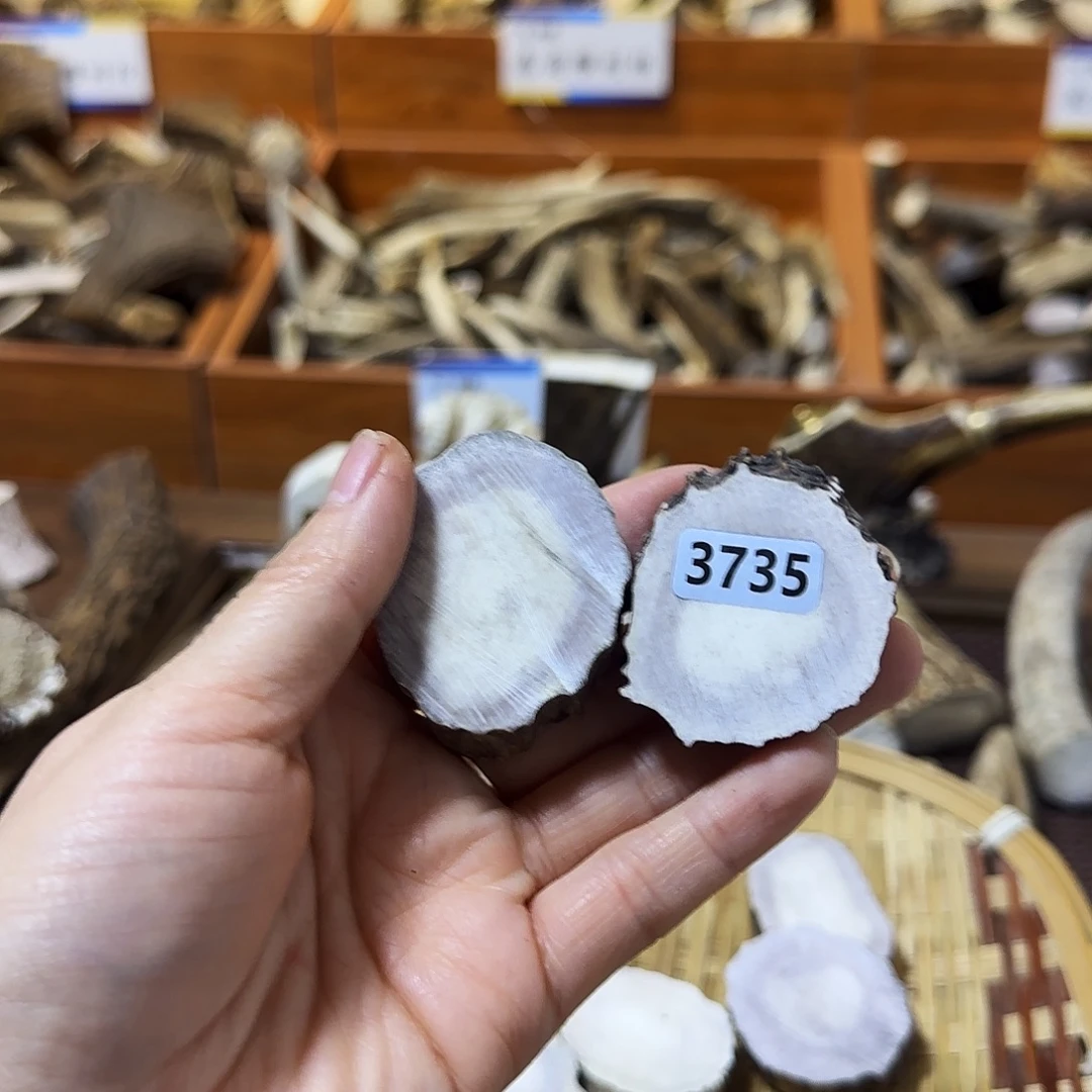 鹿骨手串/手链3735鹿角片