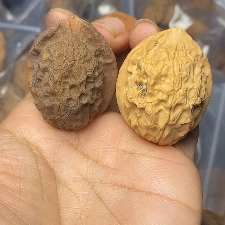 文玩核桃把件云南铁核桃72