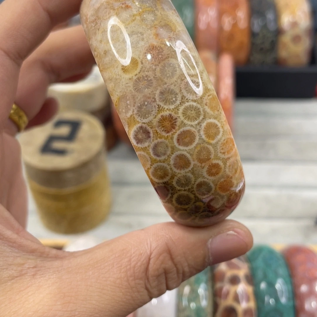 未镶嵌手镯硅化玉
