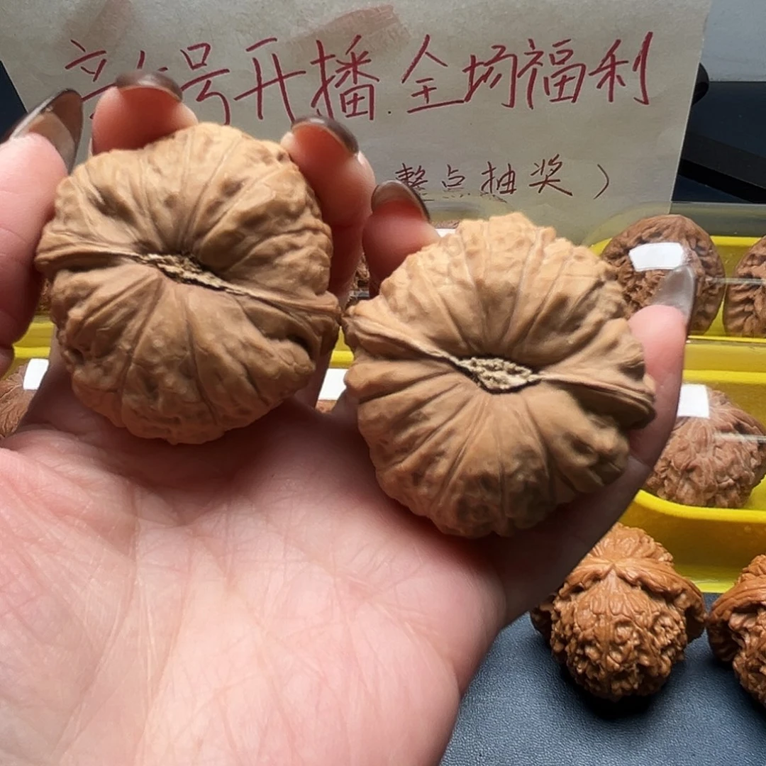 核桃43尺寸南瓜墩