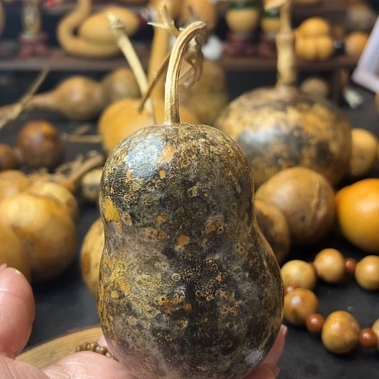 s***鹤葫芦葫芦户葫芦葫芦