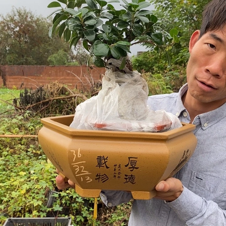 花盆紫砂紫砂艺术学院的学生