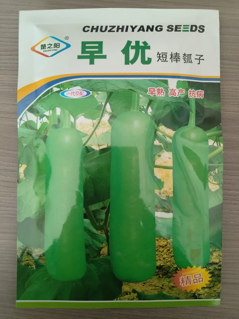 早优短棒瓠子，杂交种，挂果多