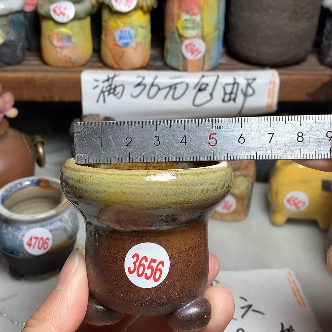 红陶拍5送一个小