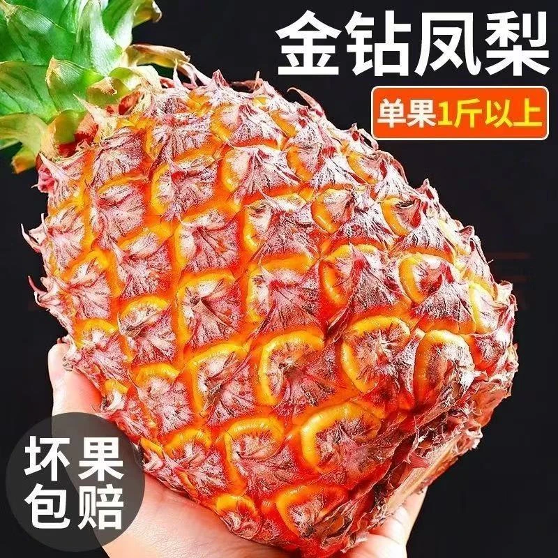【现摘现发】超甜凤梨新鲜水果树上熟当季削皮即食坏果包赔多仓发货