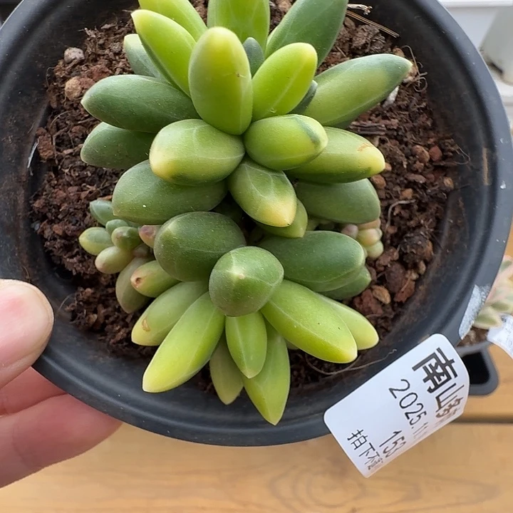 千代田进111119-153