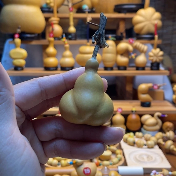 今***耀天然葫芦自然生长