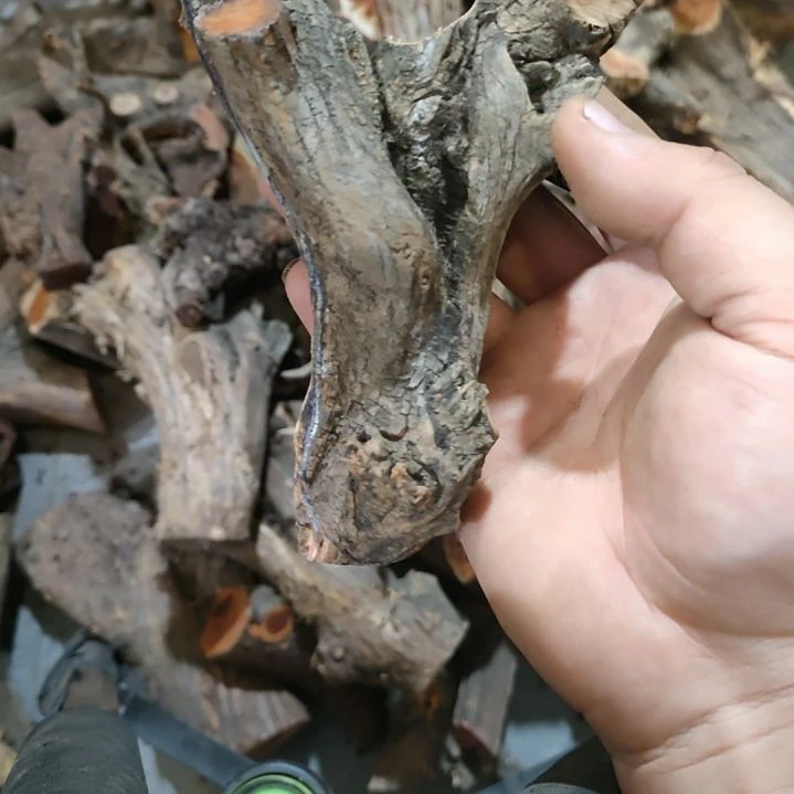 爱***子大果紫檀（缅甸花梨）