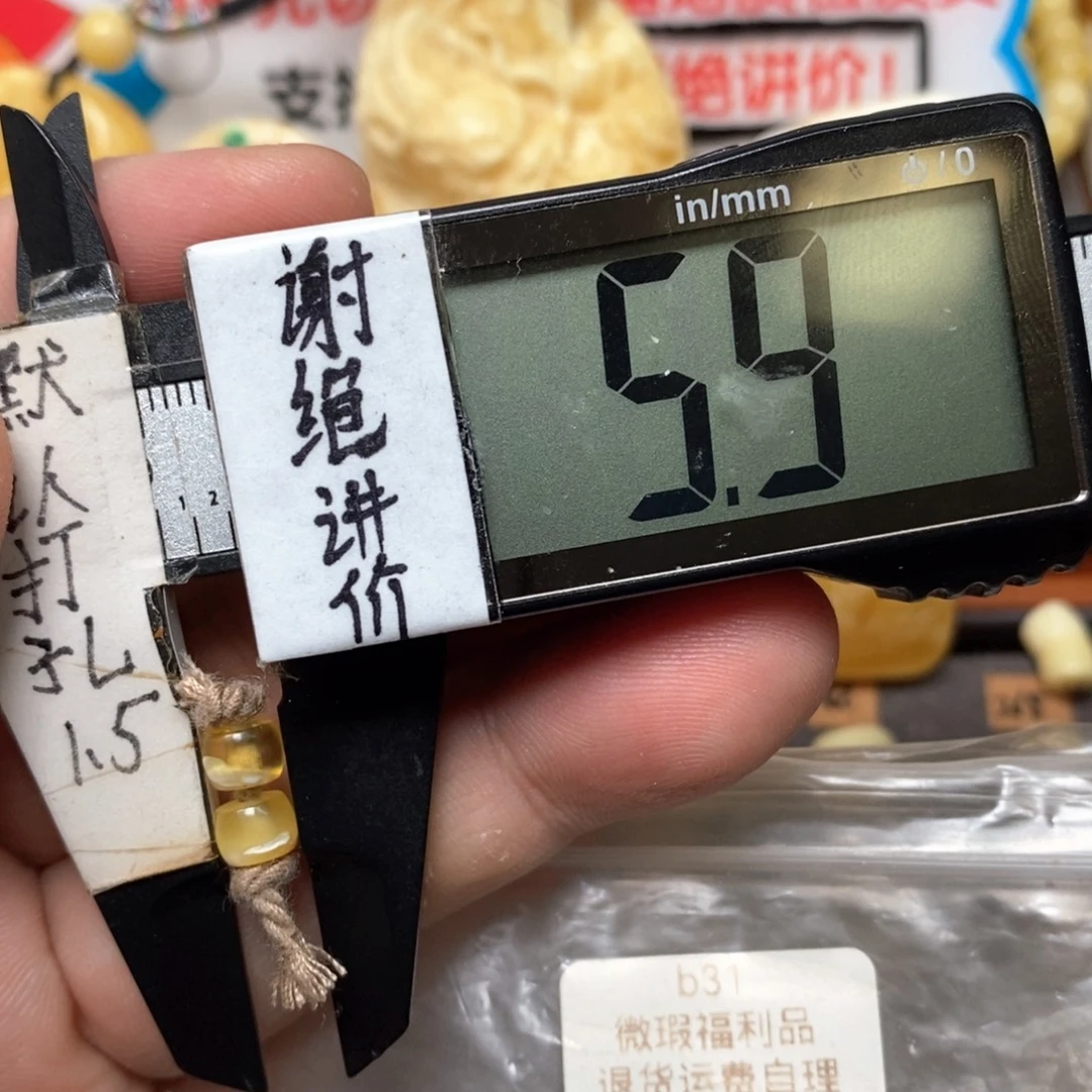 蜜蜡未镶嵌裸石直切对珠带瓷白