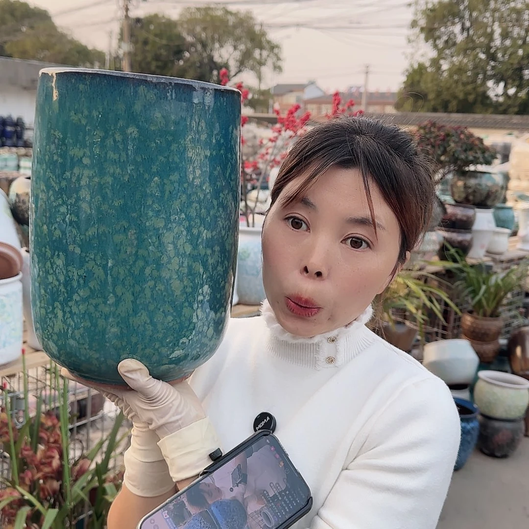 王嫂花盆1201-178高30口19