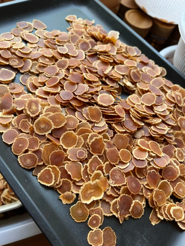 大力参薄片 手工圆切