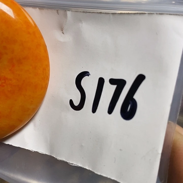 春***月龙脊菩提吊坠喜乐购专项链接