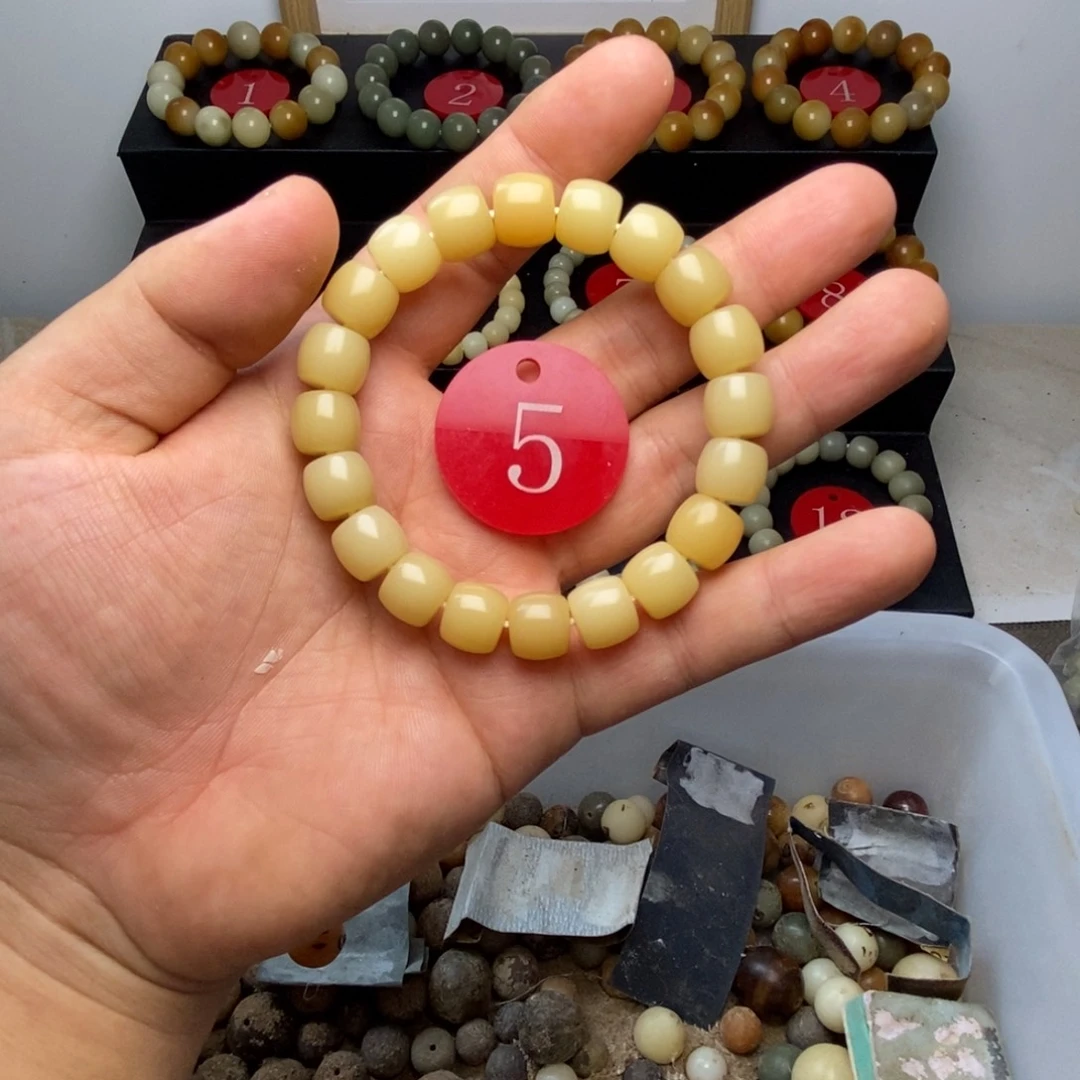 菩提根/象牙果手串