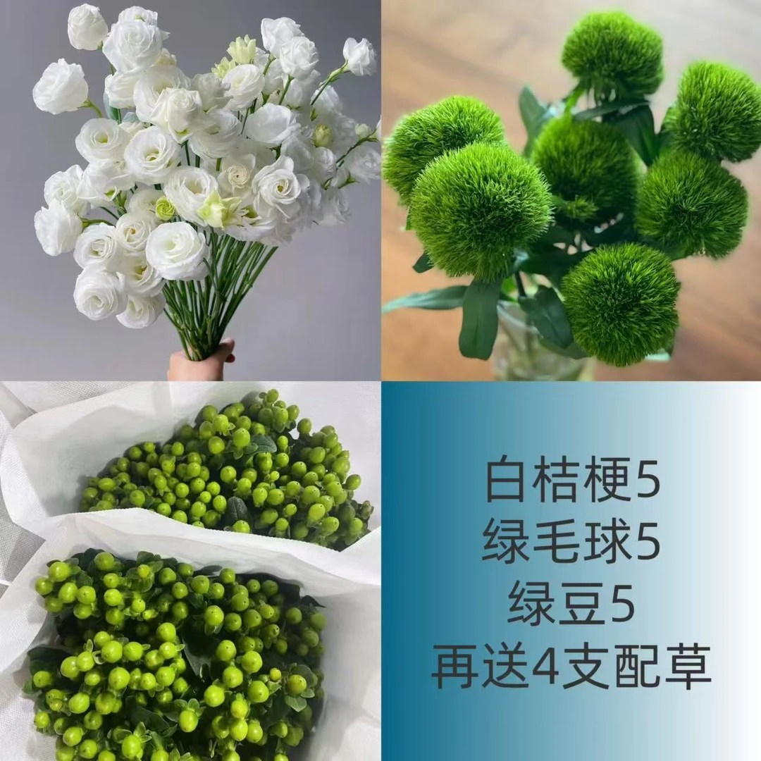 （次日达.清凉一夏）5支白桔梗+5支绿豆+5支绿毛球.今天买明天到
