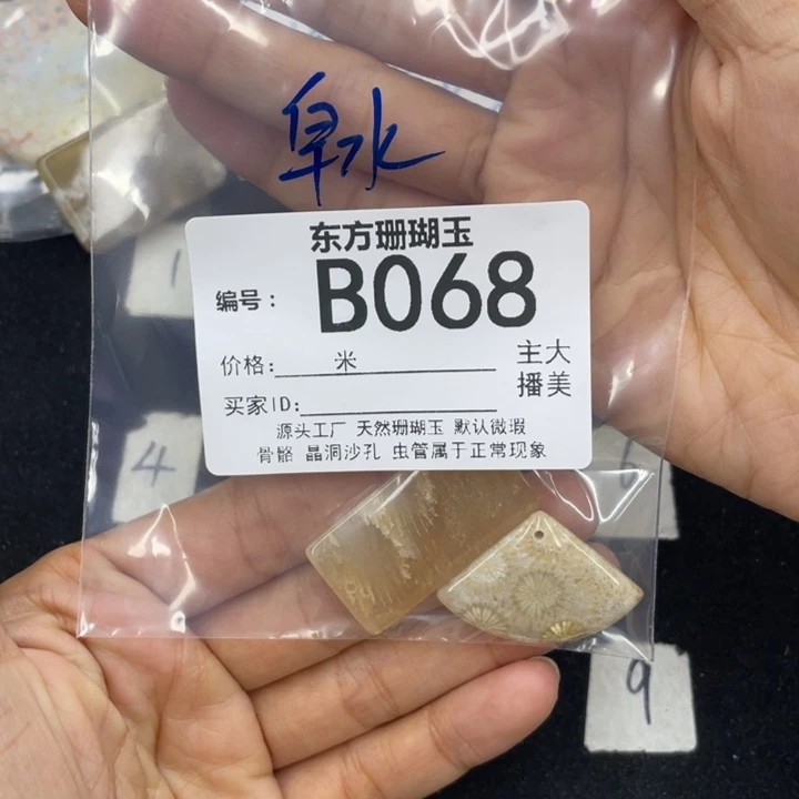 硅化珊瑚（珊瑚玉）颈饰合金皁**亓