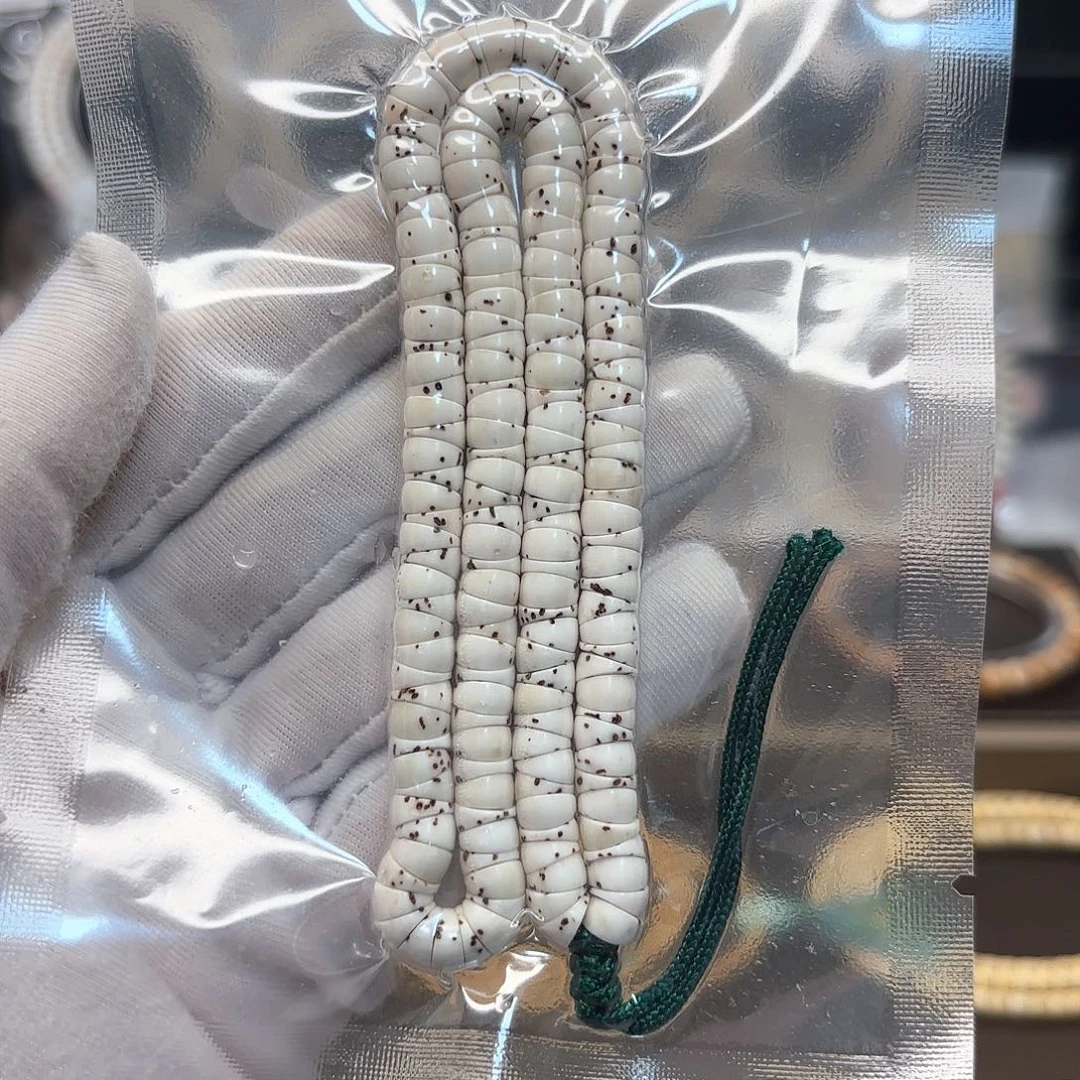 星月菩提吊坠福利原白大肠卡6散星