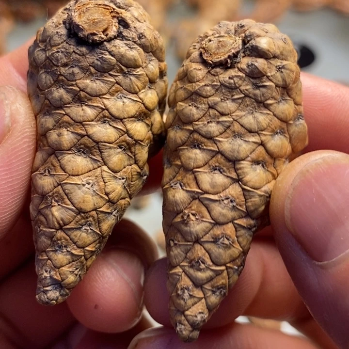 香榧木拿姐工艺流程112