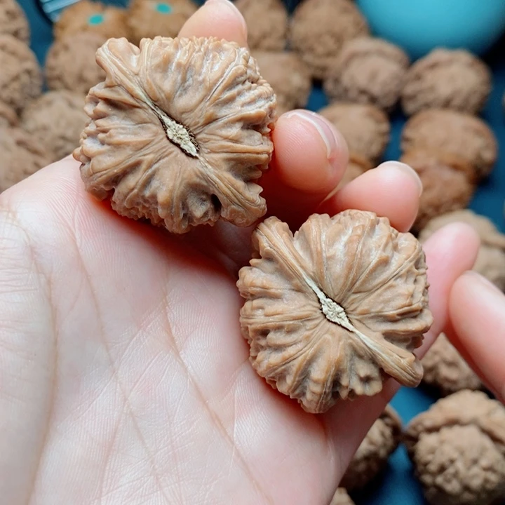 文玩核桃把件白狮子39全品