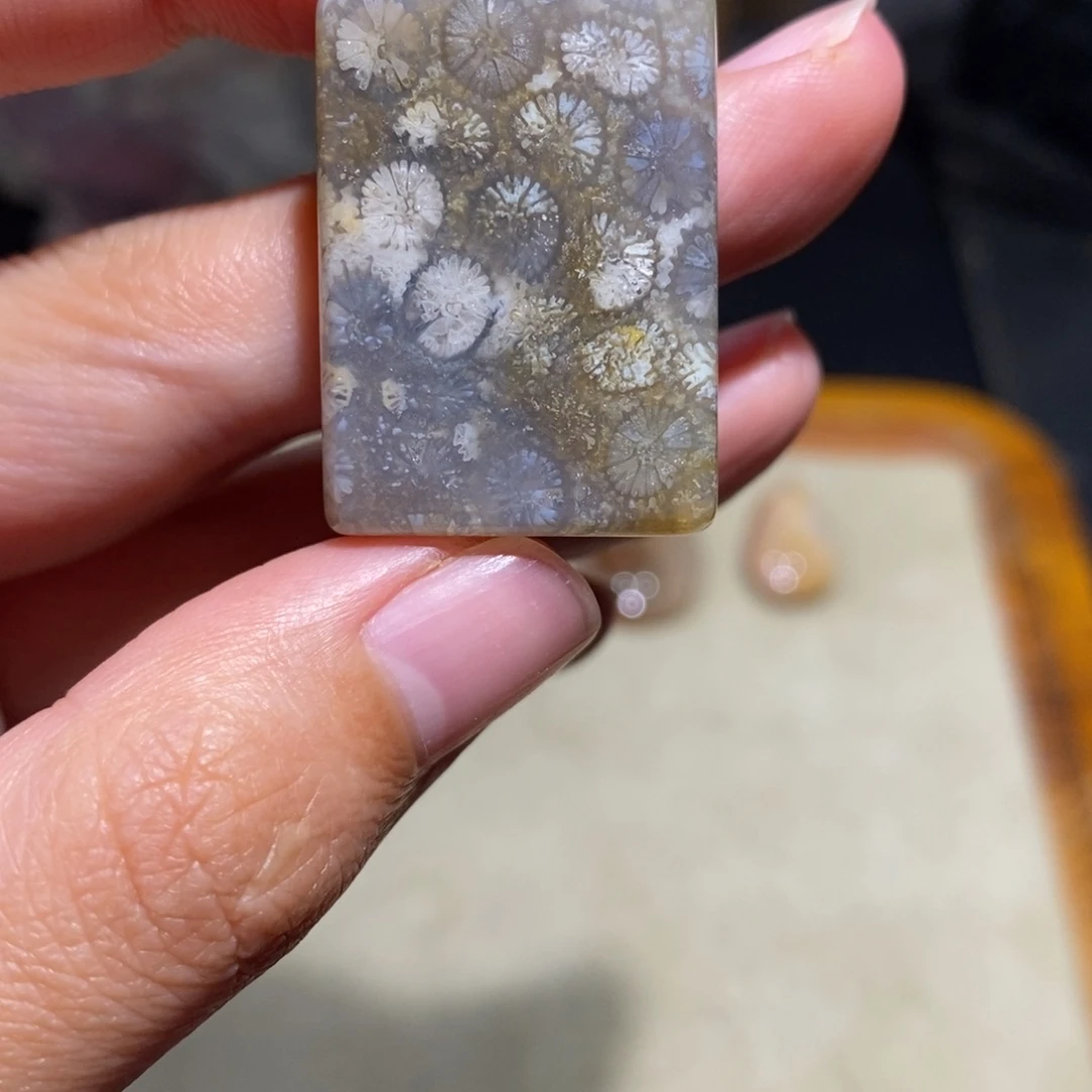 【闪购商品】硅化玉珊瑚玉未镶嵌