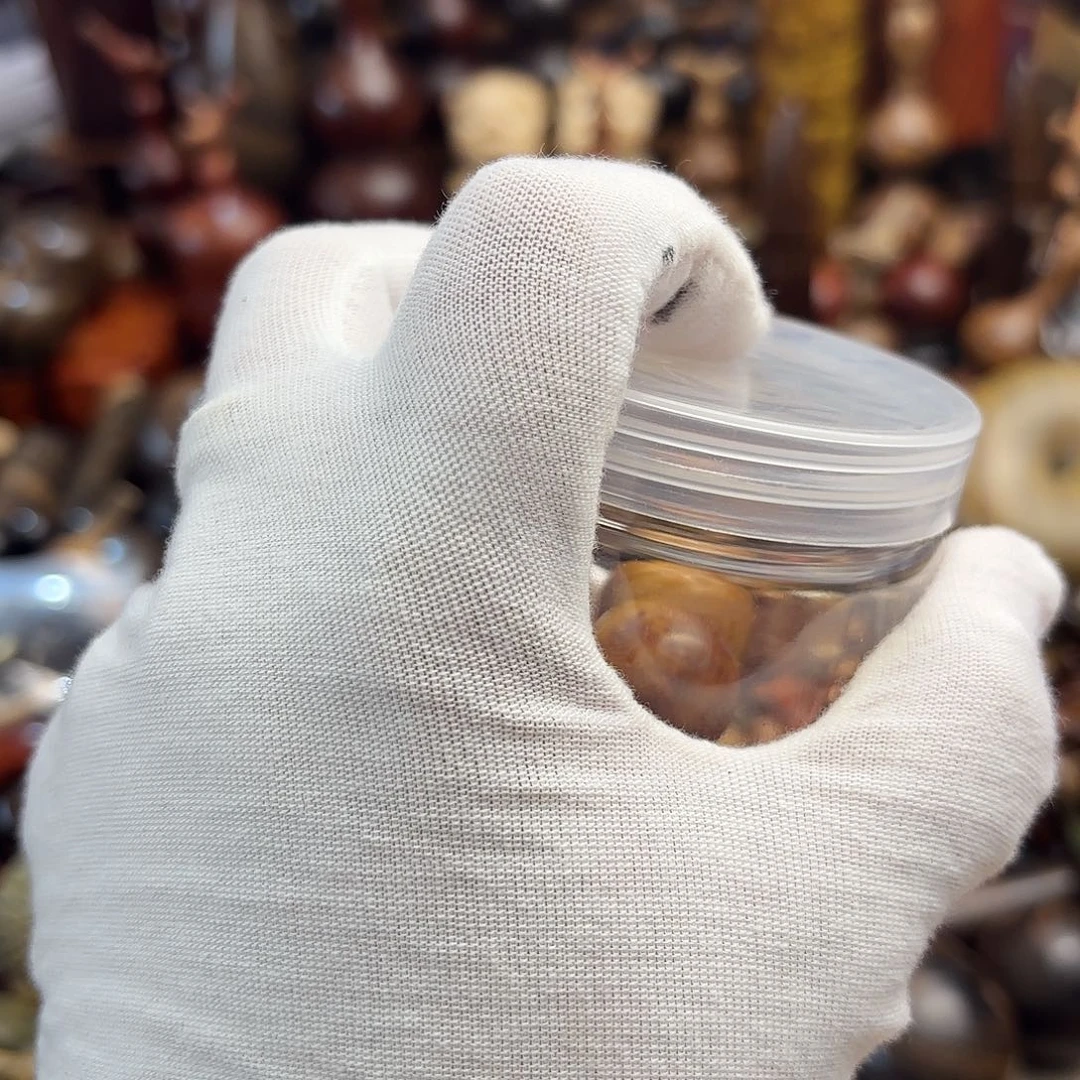 木不**了崖柏崖柏崖柏崖柏崖柏崖柏