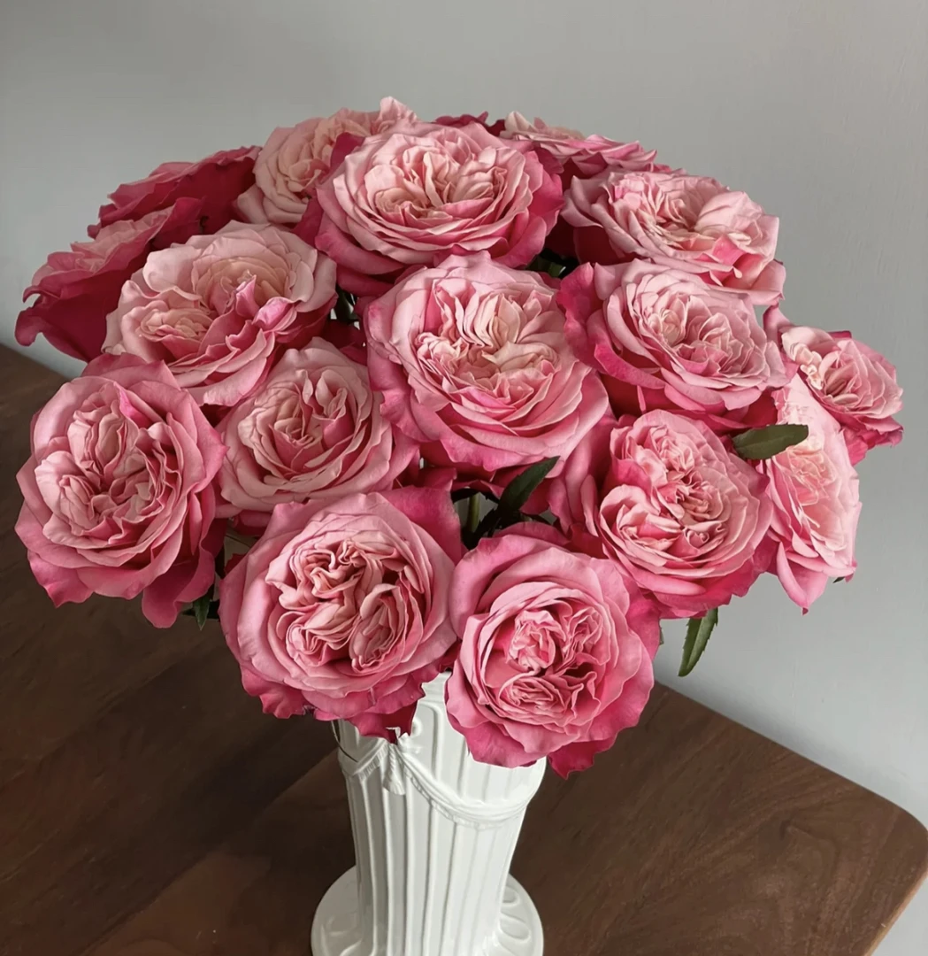 （曼）  闺蜜15支+5支防损 鲜花任意满2单包邮