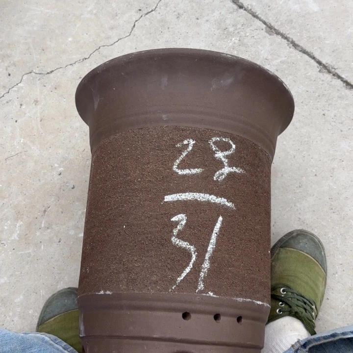 紫砂花盆紫砂的颜色