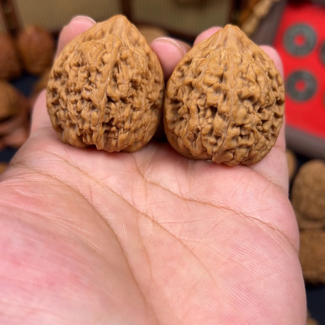 其他核桃37尺全品蚂蚁王