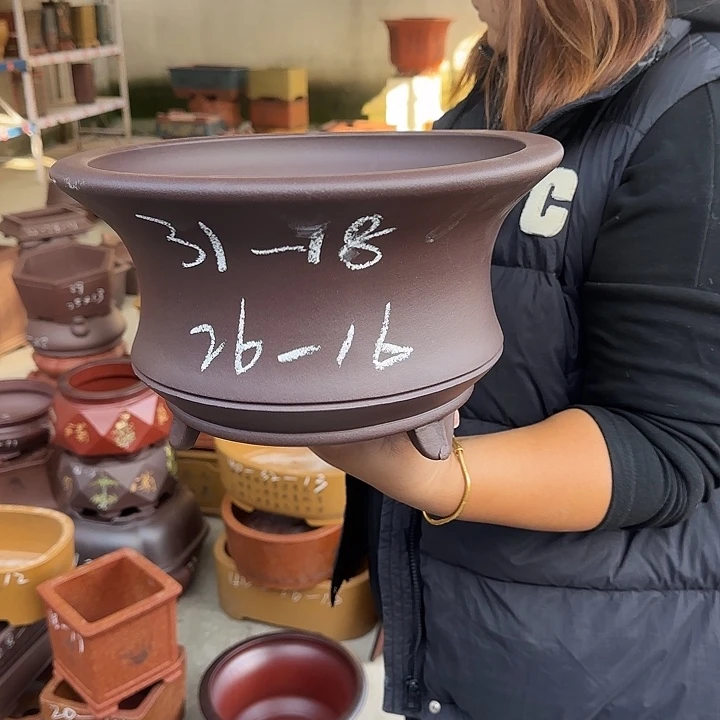 紫砂花盆不去看就