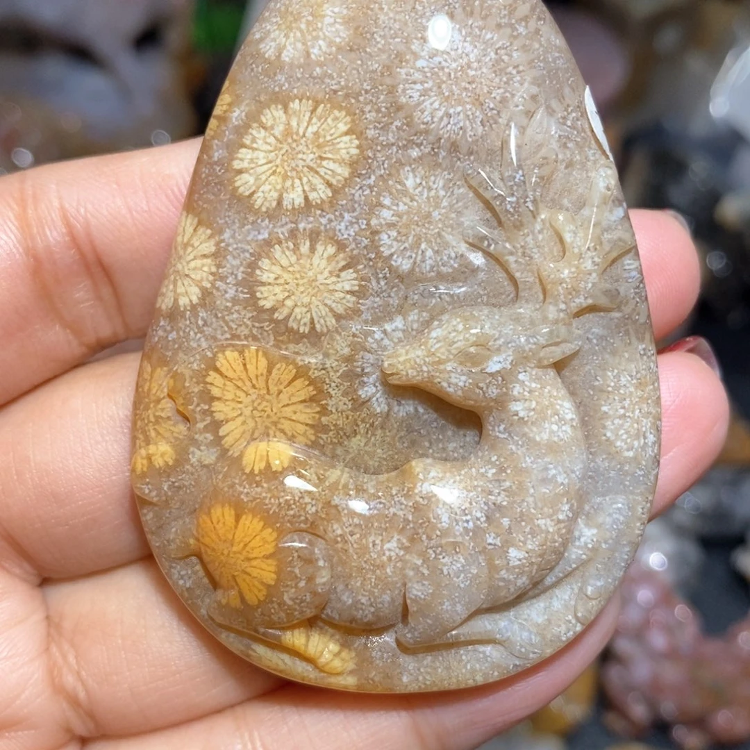 【闪购商品】硅化玉颈饰未镶嵌