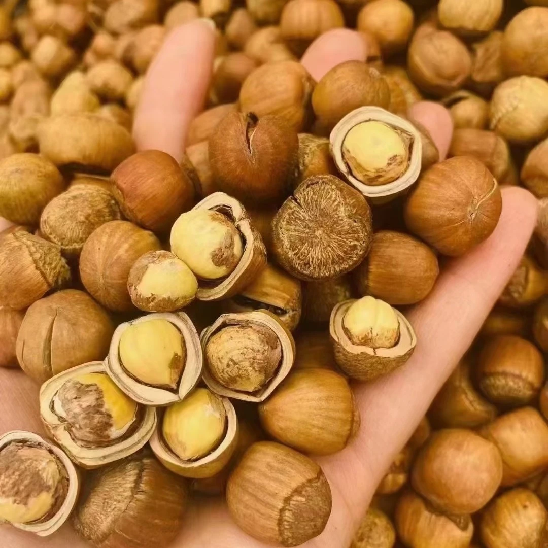 东北野生小榛子新货炒熟水漏手拍坚果零食原味正宗产地直发