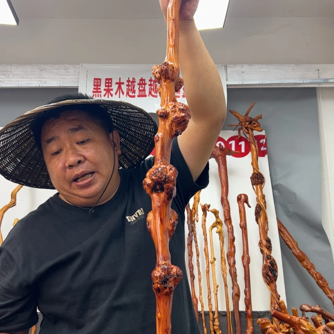 寄***云黑果木其他黑果木281