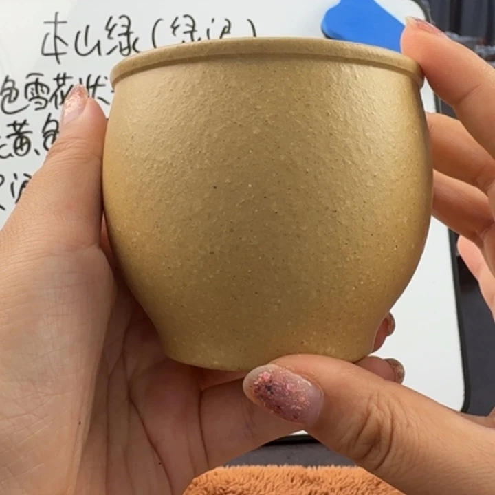 茶壶紫砂宜兴原矿梨皮230