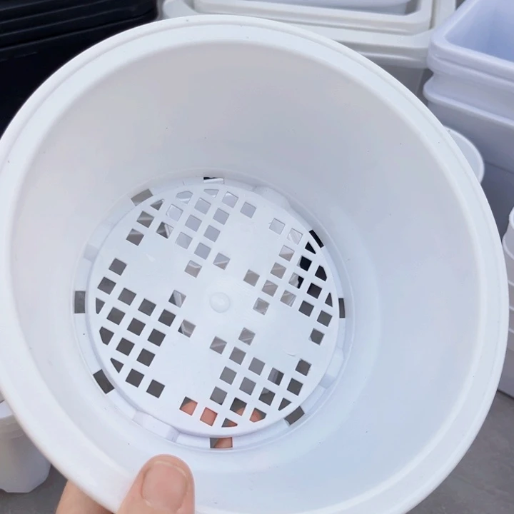 白韩盆口19高8一组10