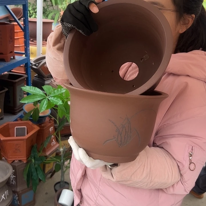 25/25平角金钟花盆